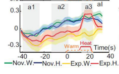 The brain activity of the two groups during the anticipation of pain.  The y-axis is the degree of activation in part of the salience network.  The blue and green lines are novices, while the red and yellow lines are the meditators.  The novices show significantly increased brain activity prior to the painful event than do the meditators.