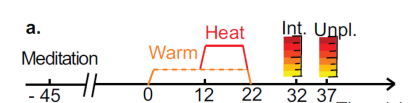 The timeline for each trial.  The meditators were given 45 seconds to warm up, at 0 seconds, the pain causing device would begin to warm.  12 seconds later, the device would become painfully hot for a period of ten seconds before being switched off.  At 32 and 37 seconds, the subjects were asked to rate the intensity and unpleasantness of the experience.