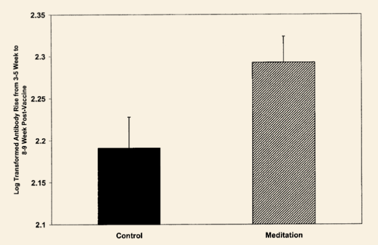 The increase in antibodies after a flu vaccine for the control group and meditators. The meditators had significantly more flu antibodies than the non-meditators