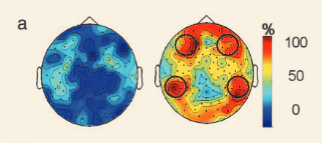 Maps showing what fraction of the meditators in the inexperienced (left) and experienced (right) groups had increases of at least 2x in gamma wave amplitude during meditation.  Almost all experienced meditators experienced sharp spikes in the amplitude of their brain's gamma waves