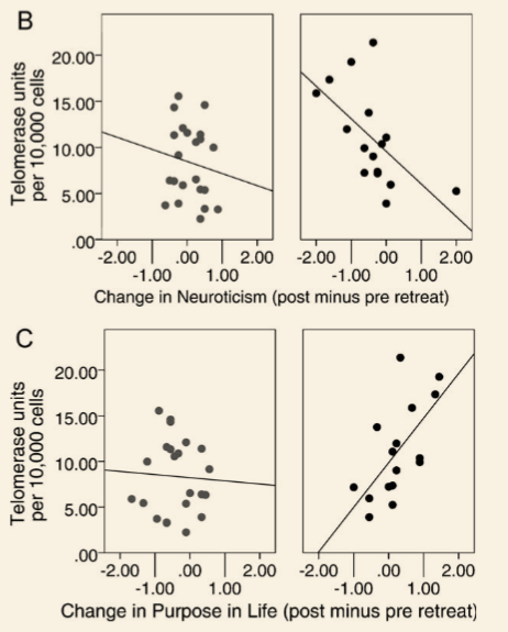 The correlation between telomerase activity and a psychological measure for the controls (left) and meditators (right).  There are strong correlations between the change in psychological measures and the change in telomerase activity in the meditation group, but there is no such correlation in the non-meditating group.