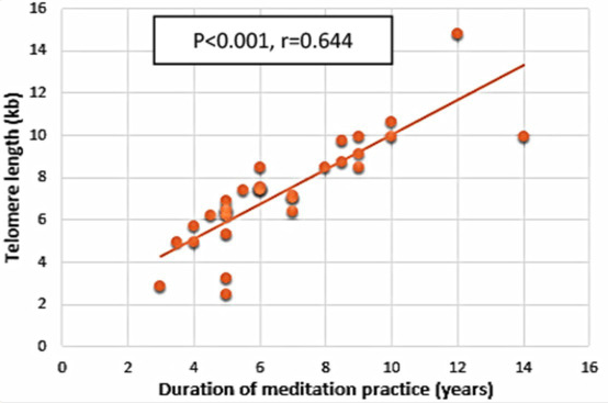 Among long-term meditators, those who had practiced for more years tended to have longer telomeres. Each point represents a meditator, with the upward trend indicating a strong positive correlation between total years of meditation and telomere length—supporting the idea that the benefits of meditation may build over time.